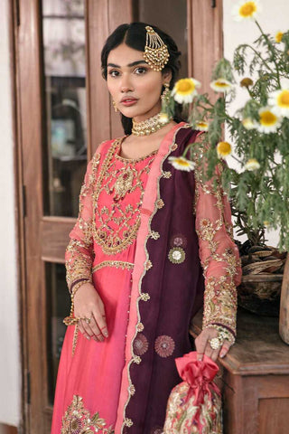 AFREEN