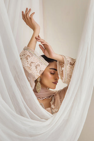 Dusty Rose