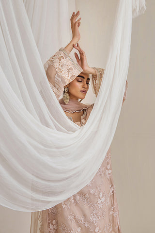 Dusty Rose