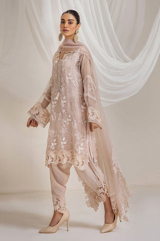 Dusty Rose